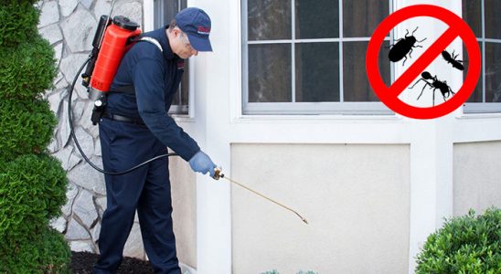 Eğirdir Karınca İlaçlama böcek ilaçlama ve haşere kontrolü — ilaclama-tr.com